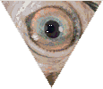 eye